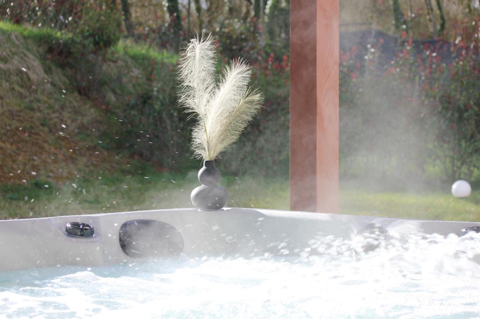 Sinalospa - Culiacan - Appartement Jardin Jacuzzi Sauna A 5 Minutes De Nancy Place Stanislas Champigneulles Luaran gambar