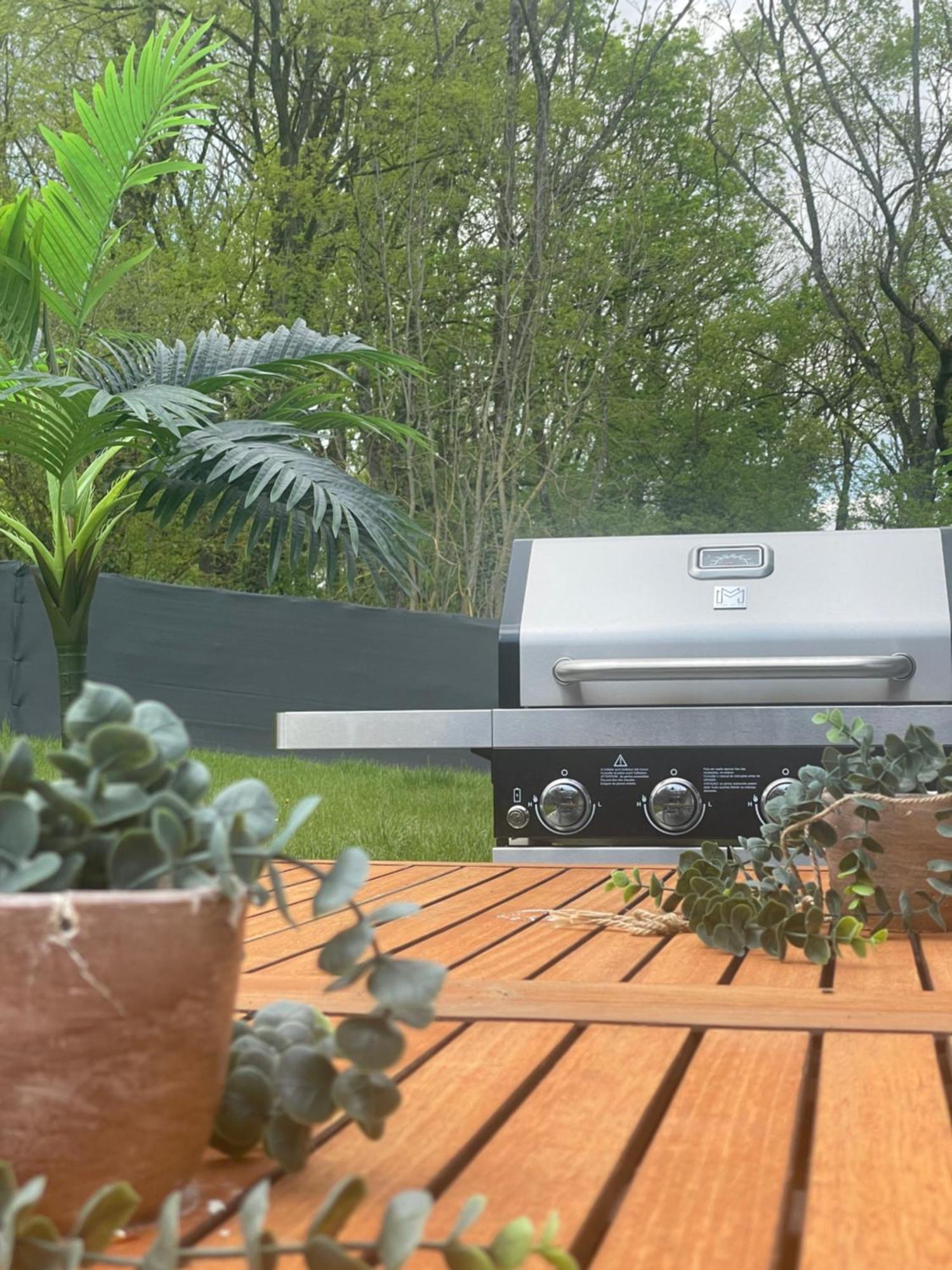 Sinalospa - Culiacan - Appartement Jardin Jacuzzi Sauna A 5 Minutes De Nancy Place Stanislas Champigneulles Luaran gambar