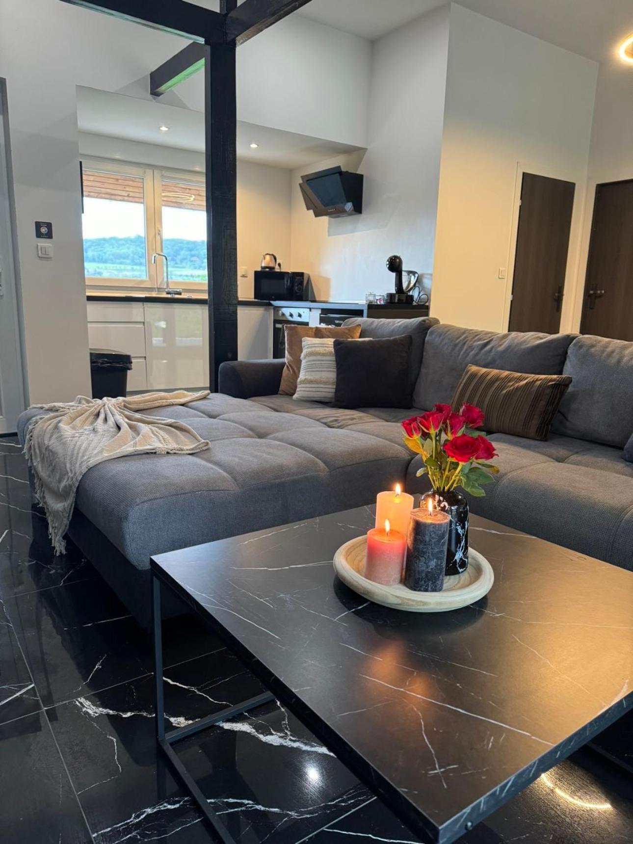 Sinalospa - Culiacan - Appartement Jardin Jacuzzi Sauna A 5 Minutes De Nancy Place Stanislas Champigneulles Luaran gambar